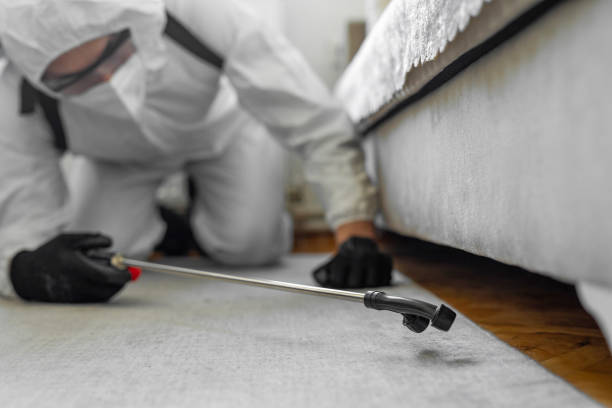 Professional Pest Control technician working in Middlesex County County, MA